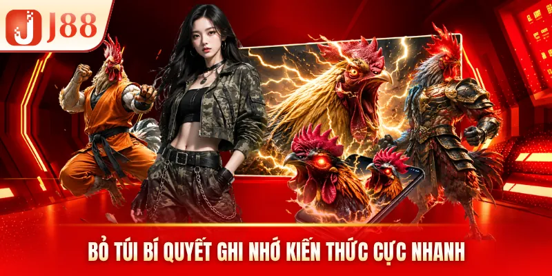 Bỏ túi bí quyết ghi nhớ kiến thức cực nhanh Bỏ túi bí quyết ghi nhớ kiến thức cực nhanh