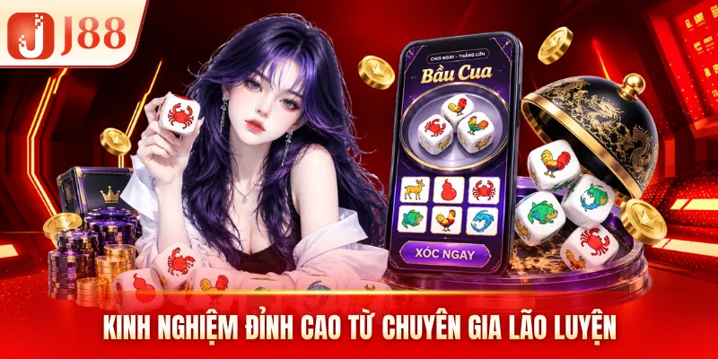 Kinh nghiệm đỉnh cao từ chuyên gia lão luyện Kinh nghiệm đỉnh cao từ chuyên gia lão luyện